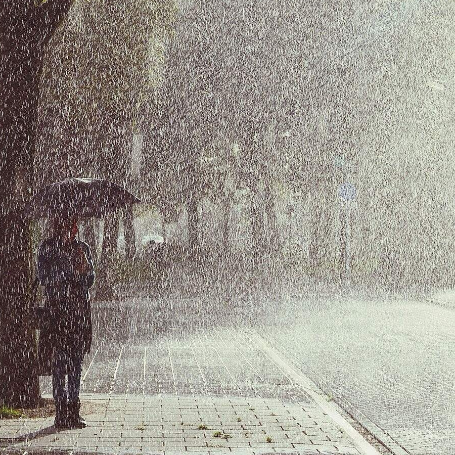 雨？天悔恨！