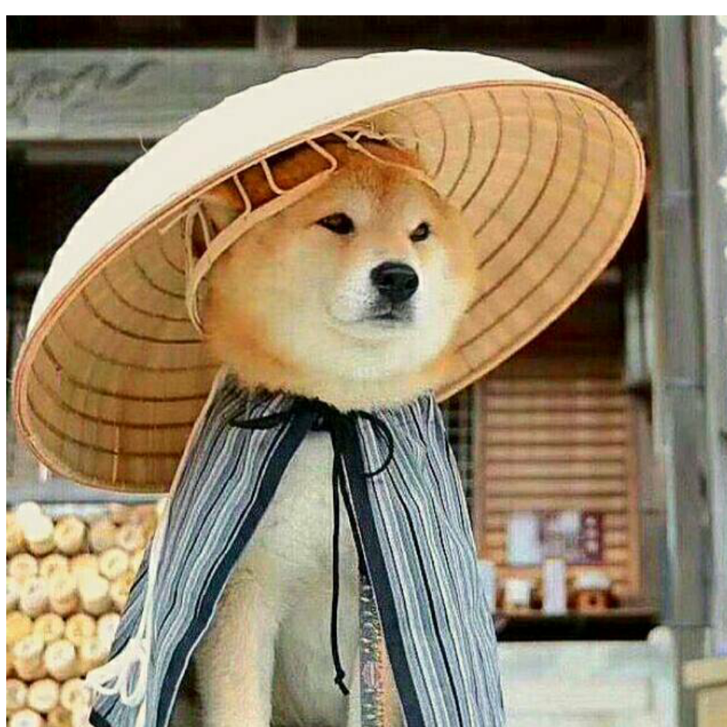 何必去回忆过去的疼ゞ