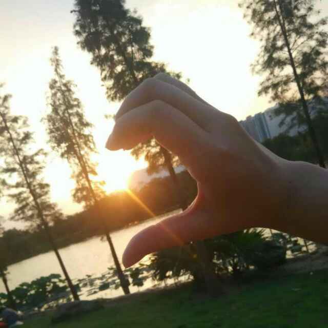 Jay.li