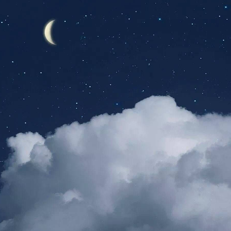 择樾