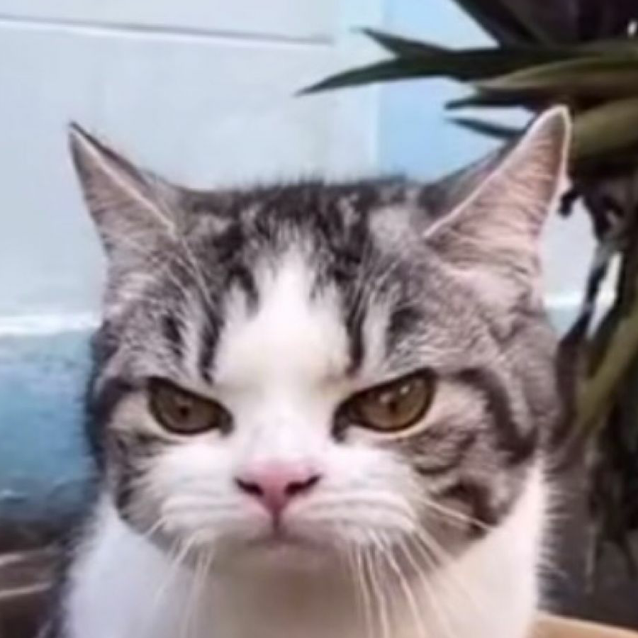 风声