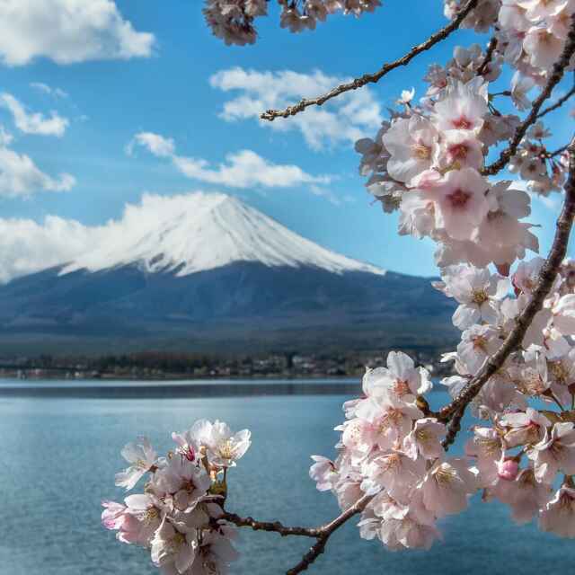 随波不逐流