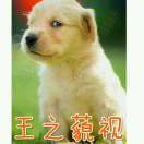 怎么回事，小老弟