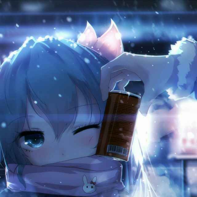 ＊