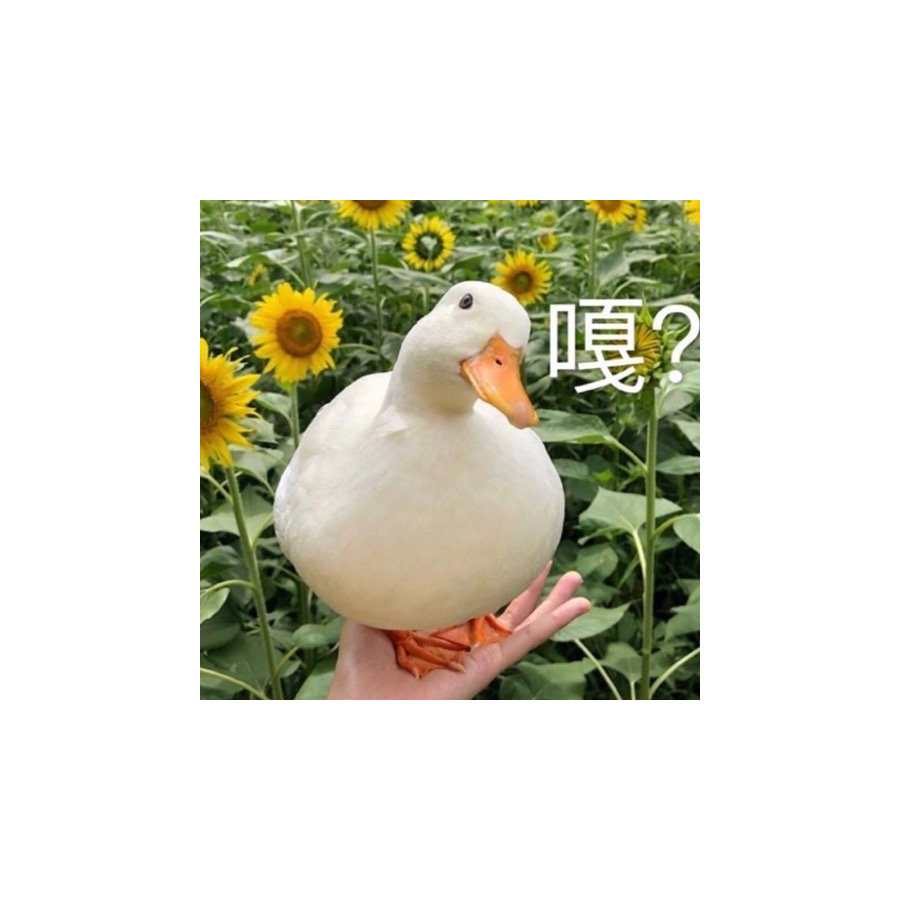 鸭鸭我炸啦