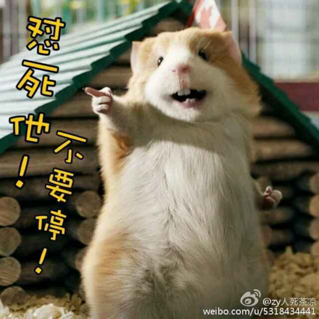 玄太一
