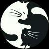 User21895179