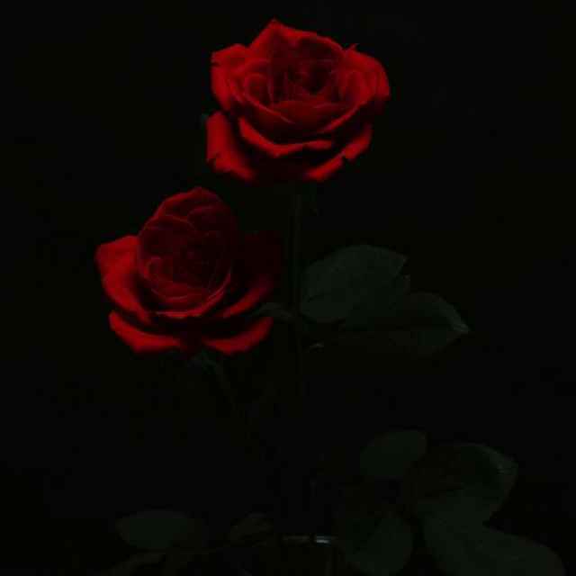 会笑的眼睛更可爱