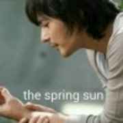 The spring sun