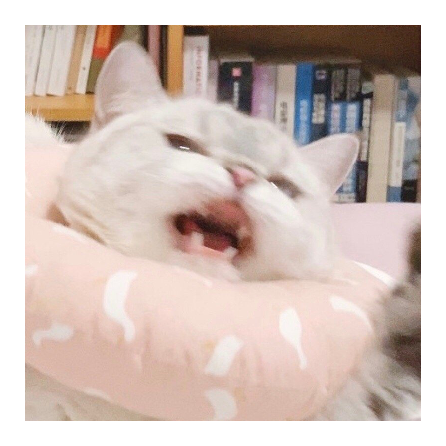 勒崽崽