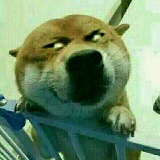 天下无敌