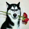 Lone wolf