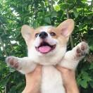 寧