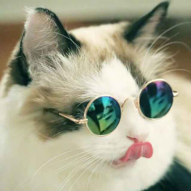 芋圆团子