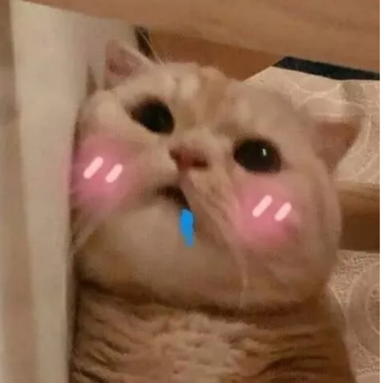 阿巴阿巴…