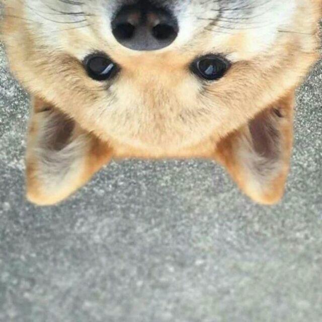 sean