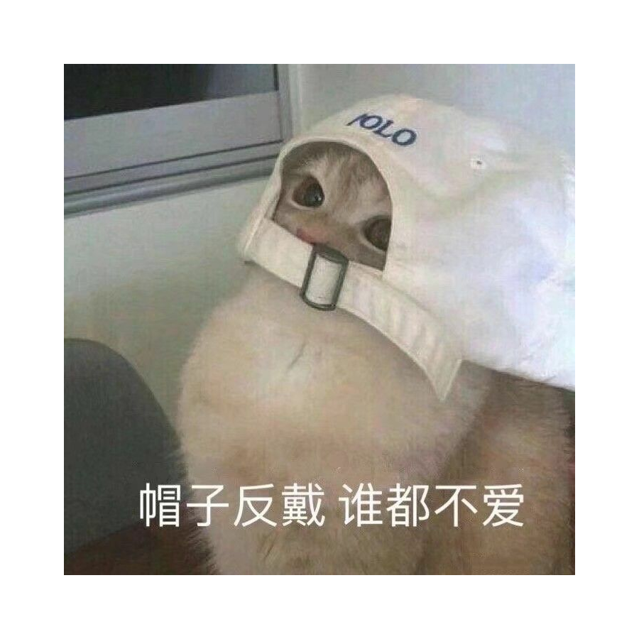 航君