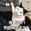 莲蓉熊猫包子球