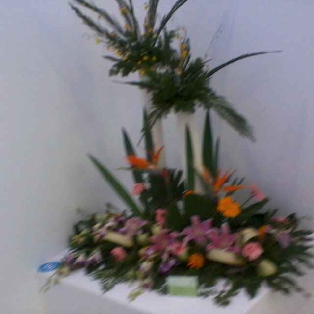 User3344077
