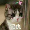 💮㌍㌫㌶㍊㍍㍑