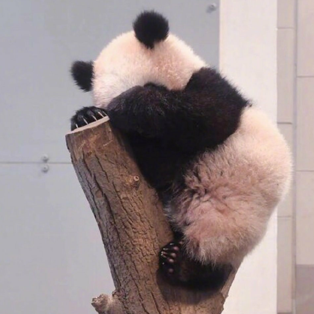山河无定
