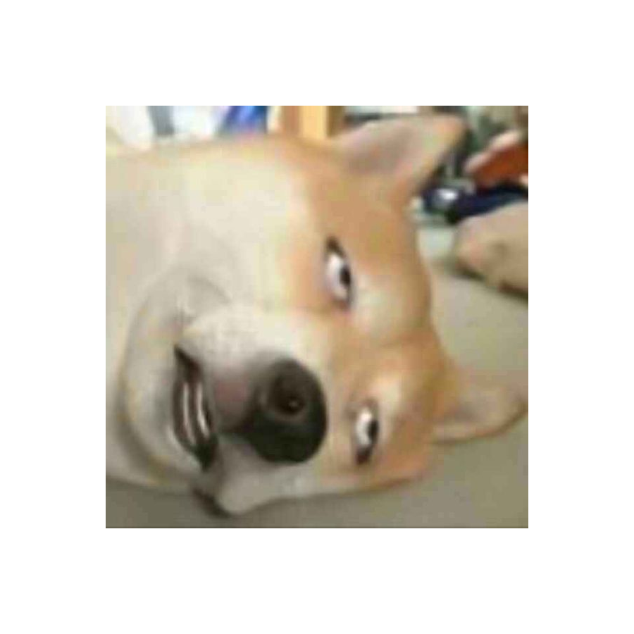 霅霅