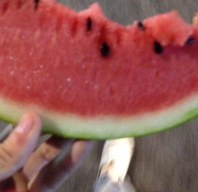 至尊宝🍉