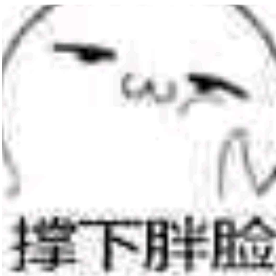 冬夜枫林