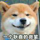 摘星