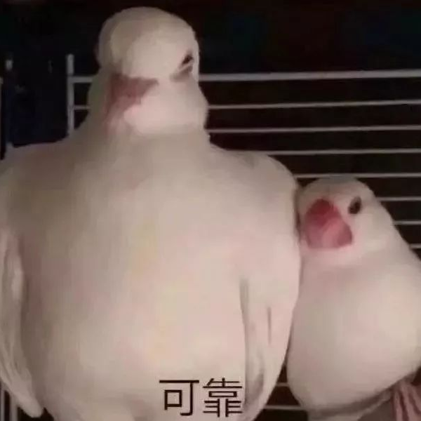 贺江。