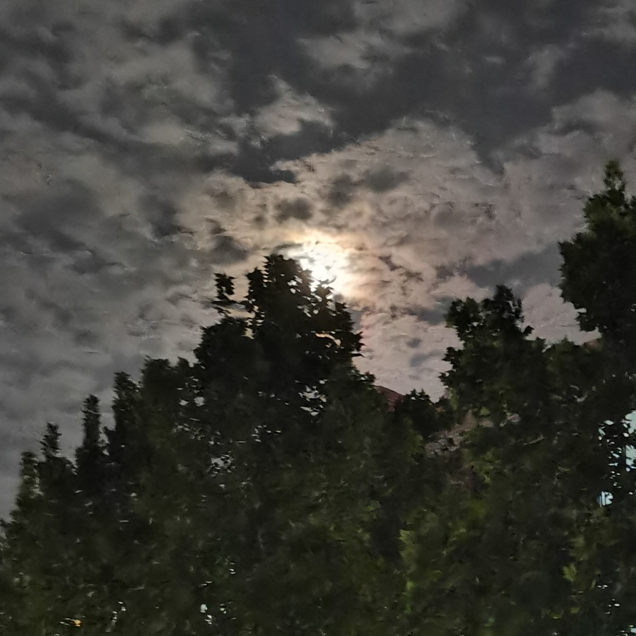 玩游戏的云玩家