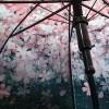 花火