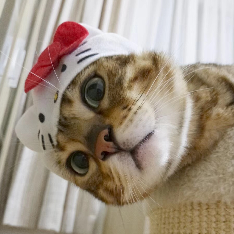 小书包