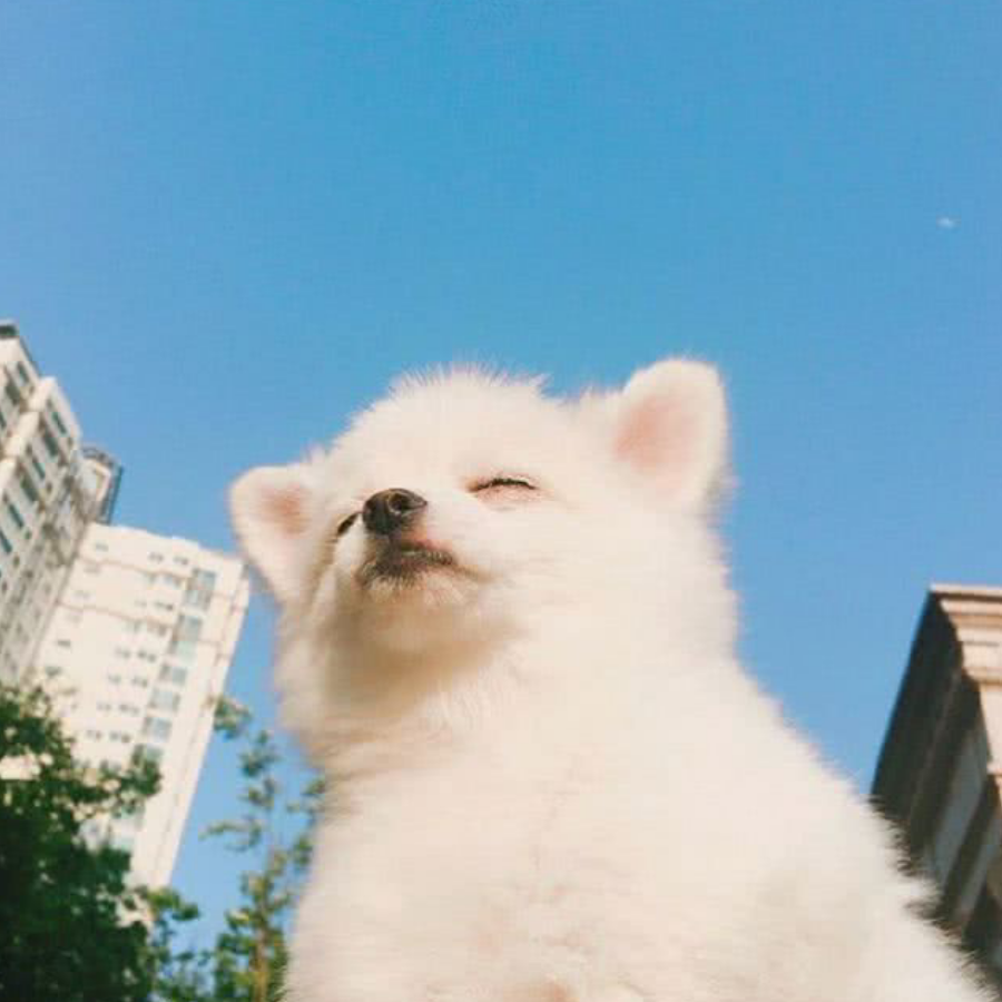 小熊软糖