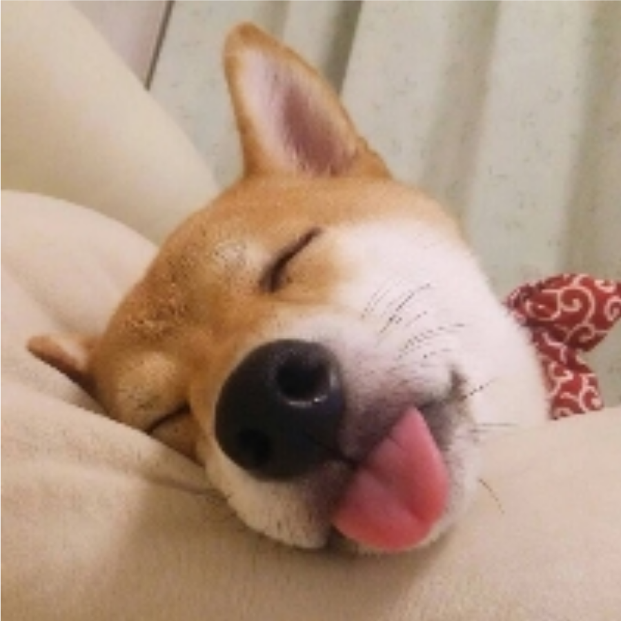菜就多练
