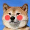 User14934462