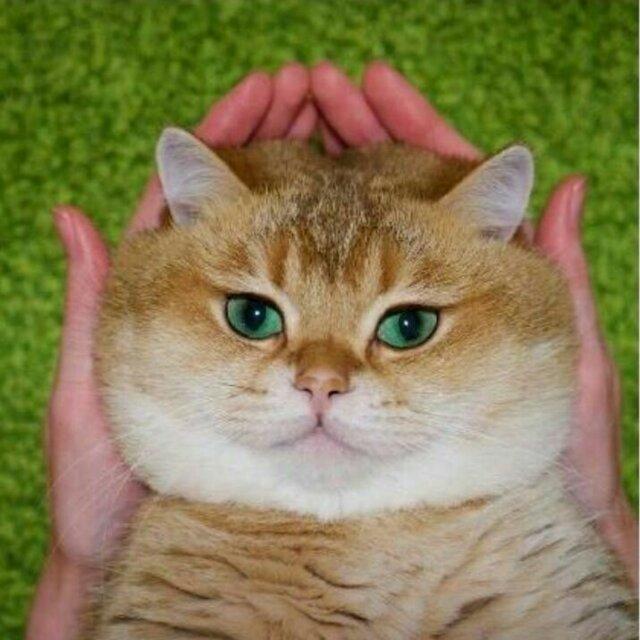 一逊
