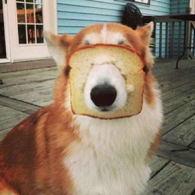 。。。
