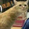 User23817988