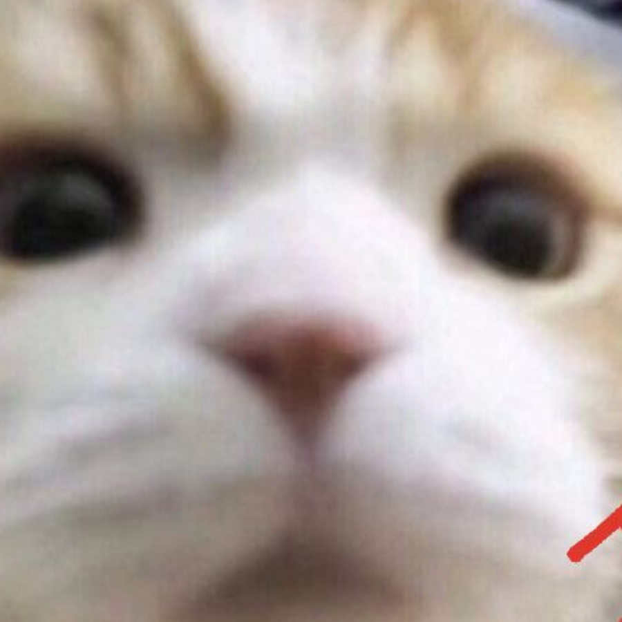 好无聊啊