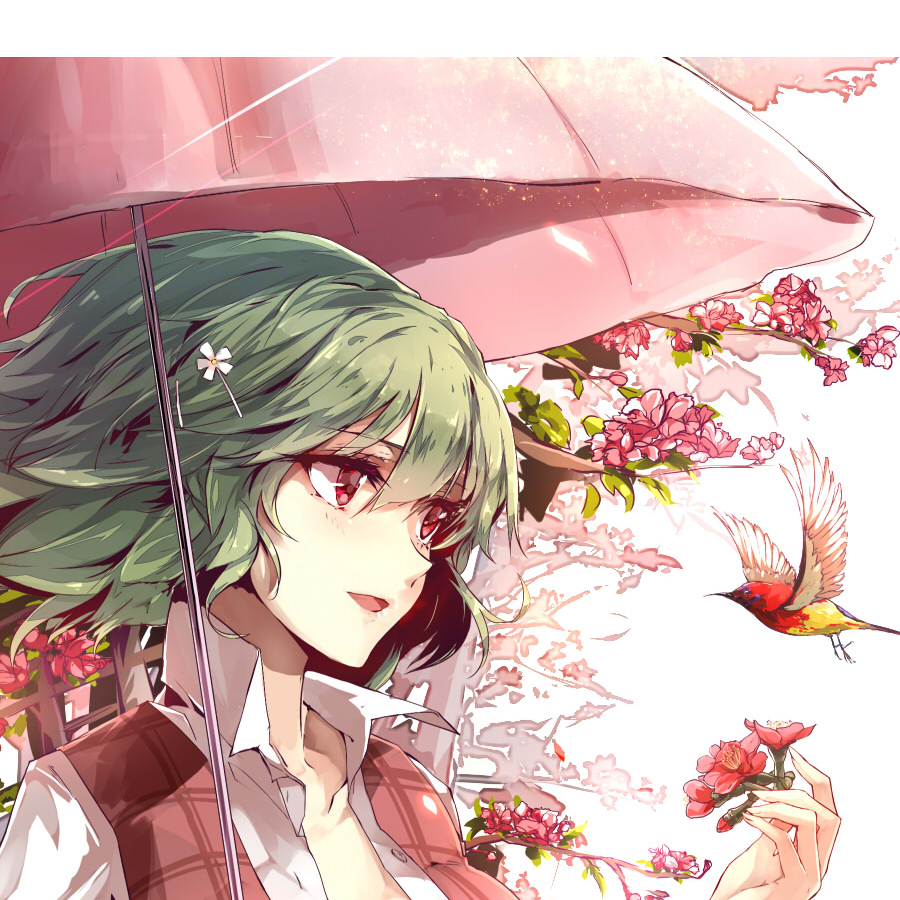 鲜花之主