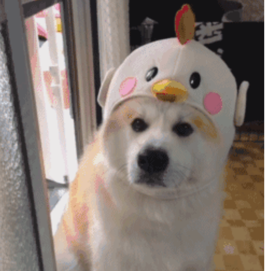 ( ｰ̀дｰ́ )