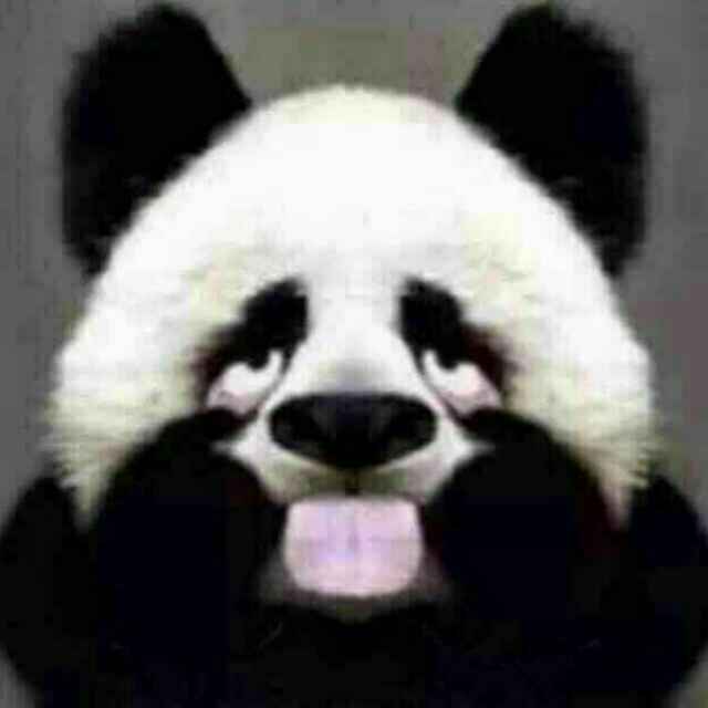 熊猫.S.柒宝