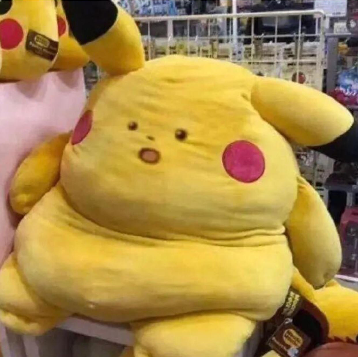 洋葱头