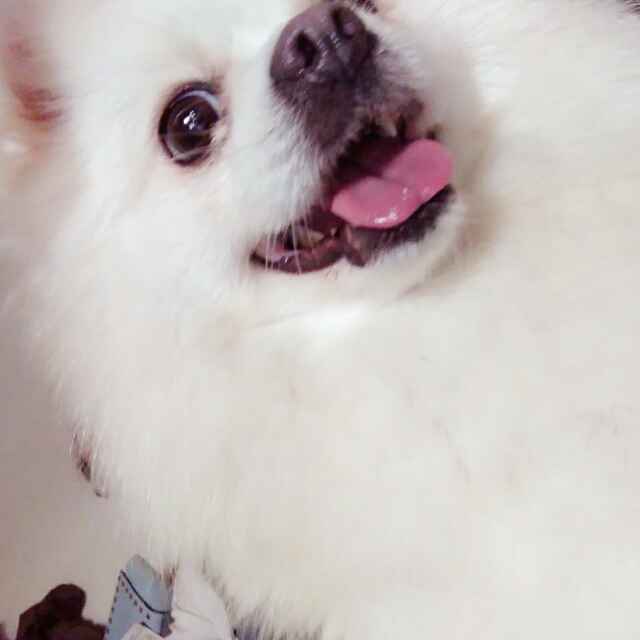 曦xxxxxx