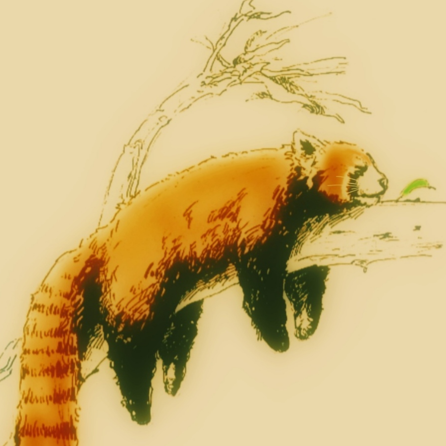 手机用户62177737
