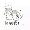 O(∩_∩)O~xiaolai