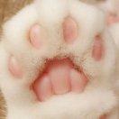 文