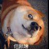 ヘ(￣ω￣ヘ)麒麟_