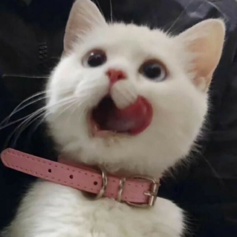 斗弟
